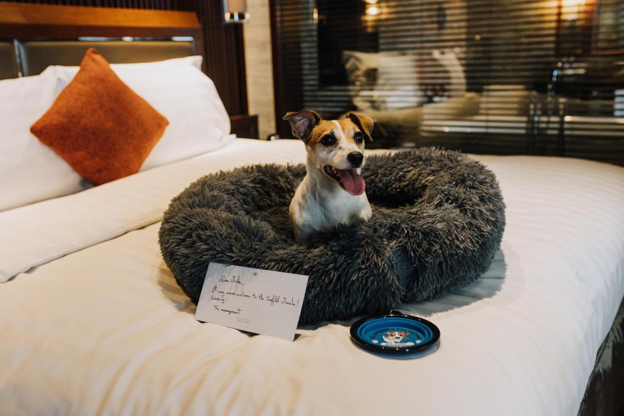 Sofitel Philippine Plaza Manila Hotel Pasay Exterior photo A dog in a pet-friendly hotel room